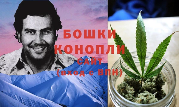 гидропоника Аркадак